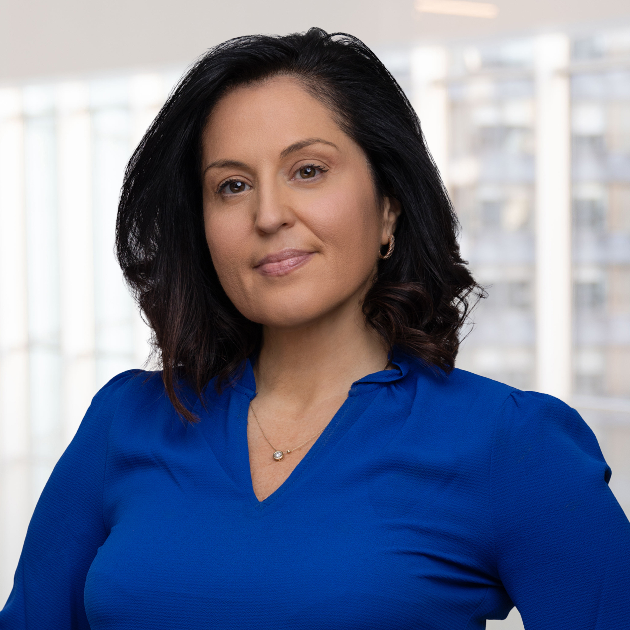 Sandra Mihok, Epstein Becker & Green, P.C. Photo