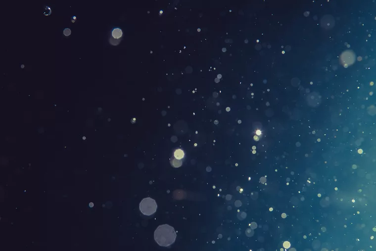 Essential but Undervalued: Examining Workplace Protections for Domestic Workers