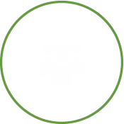 33% of our Board of Directors are women